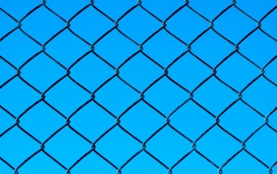 Tech executives confident in AI skills, but adoption barriers persist