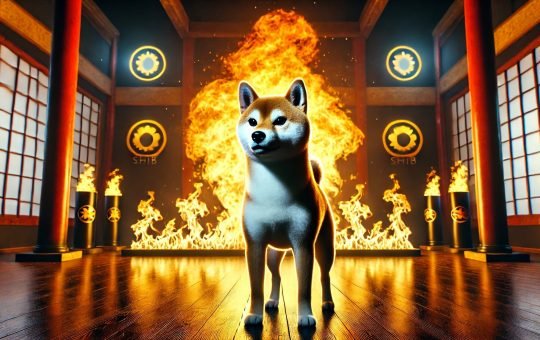 Shiba Inu Burns Shibarium