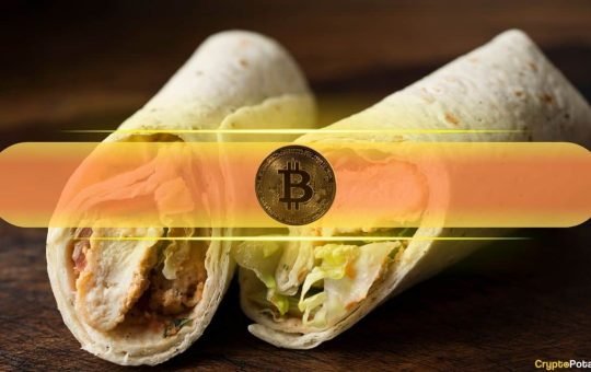 BitGo’s WBTC Retains Over 65% Market Dominance Despite Criticism of Custody Model: Report