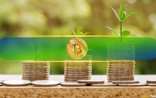 Bitcoin Long-term Holders Drive Profit-taking Spree, But Funding Rates Signal Market Stability: Bitfinex