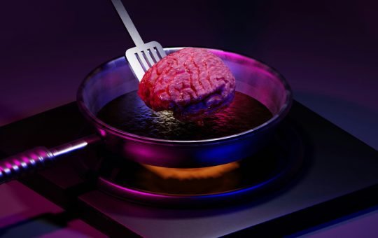 A digital brain being cooked up as Google DeepMind releases Gemini 2.5 Pro which is being described as its most intelligent AI model yet, taking the top spot on the LMArena leaderboard and leading many benchmarks for advanced reasoning capabilities.