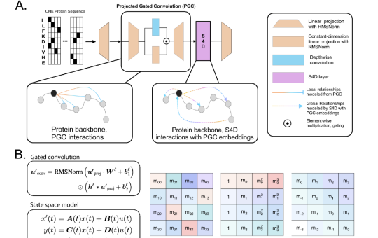 Lyra: A Computationally Efficient Subquadratic Architecture for Biological Sequence Modeling