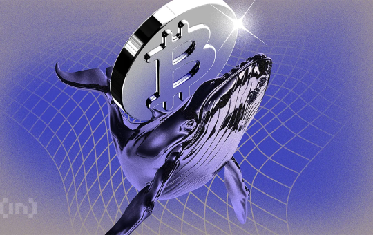 Bitcoin Whales Pull Millions Off Exchanges as New Buyers Surge — BTC Ready to Rally?