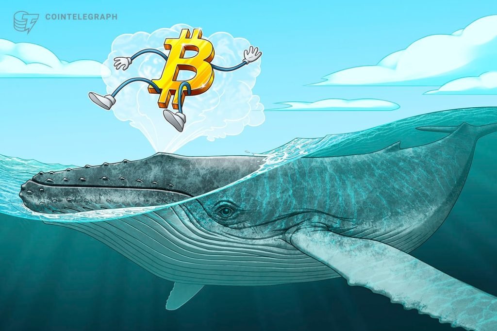 Bitcoin whales absorb 300% of newly mined BTC supply — Is $100K next?