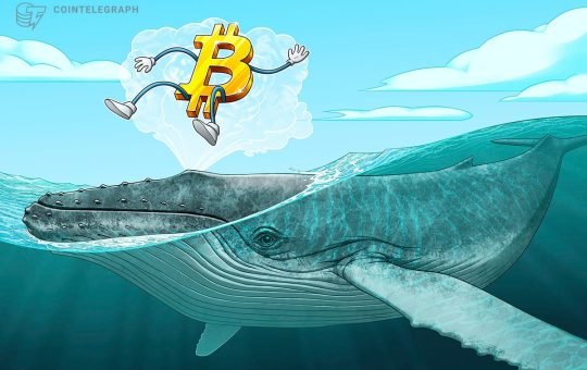 Bitcoin whales absorb 300% of newly mined BTC supply — Is $100K next?