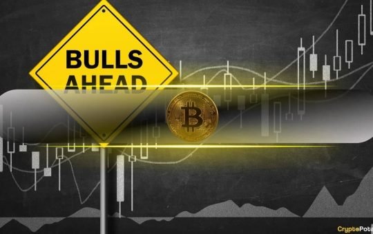 Expert Sees Bullish Signals in Miner Data