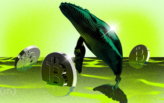 New Bitcoin Whales Now Hold Majority of BTC Capital