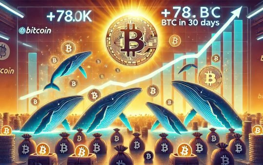 Bitcoin Accumulation Continues Despite ATH: Whales Add 78K BTC In 30 Days