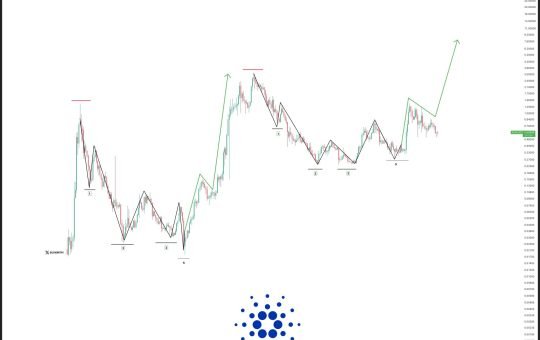 Cardano Fractal Pattern.