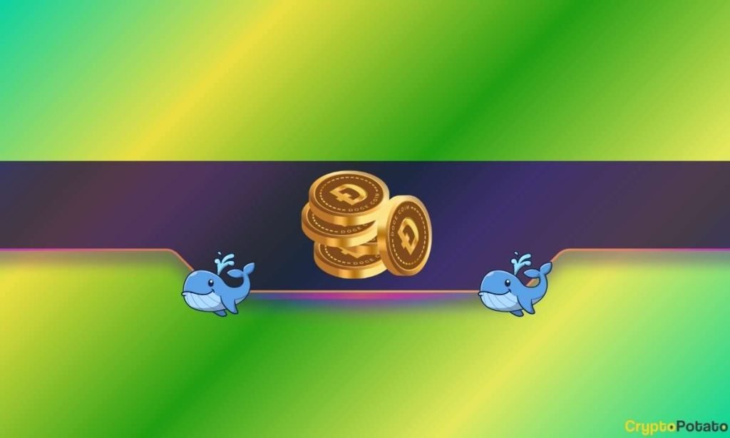 How Bullish Are Whales and Traders?