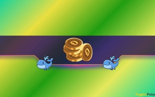 How Bullish Are Whales and Traders?