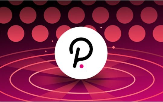 Polkadot Unveils Bold Vision for Proof-of-Personhood Identity System