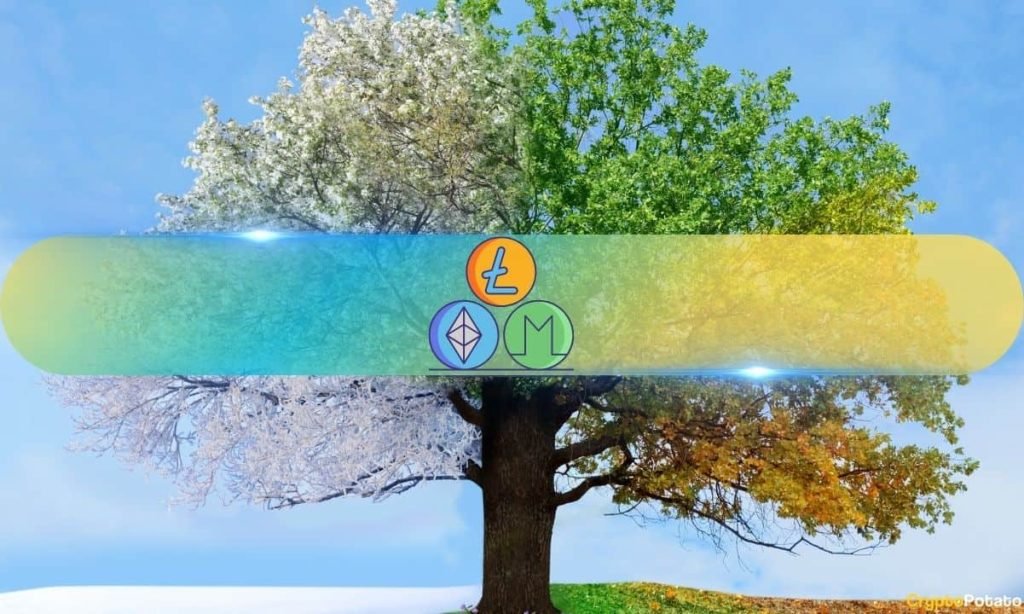 Skip Bitcoin FOMO, Altcoins Offer Better Gains Now