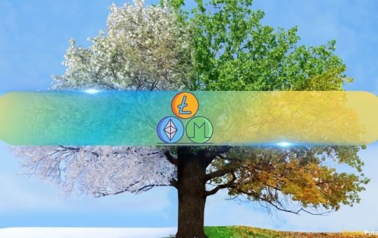 Skip Bitcoin FOMO, Altcoins Offer Better Gains Now