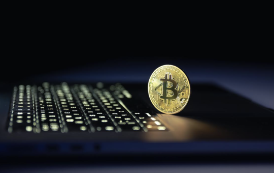 bitcoin wallet for self custody