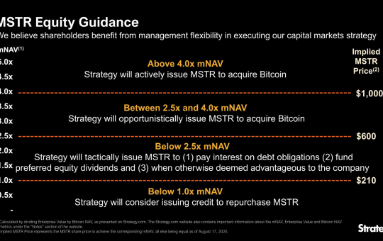 Strategy's Bitcoin Purchasing Guide