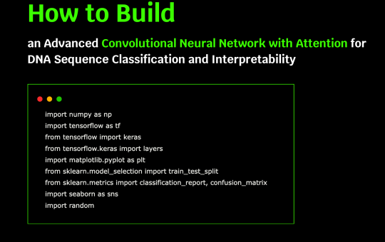 Building an Advanced Convolutional Neural Network with Attention for DNA Sequence Classification and Interpretability