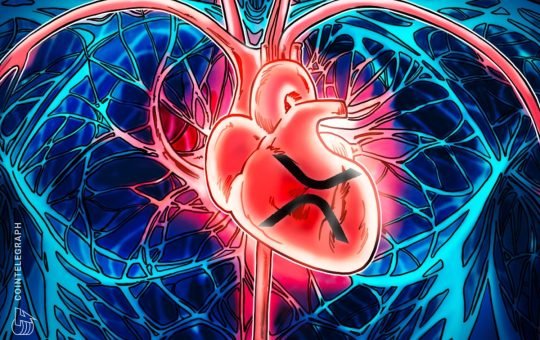 5 Key Factors Behind Its Growing Value