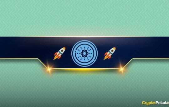 ADA and DOGE Must Defend These Critical Levels to Resume Bull Rallies: Analyst