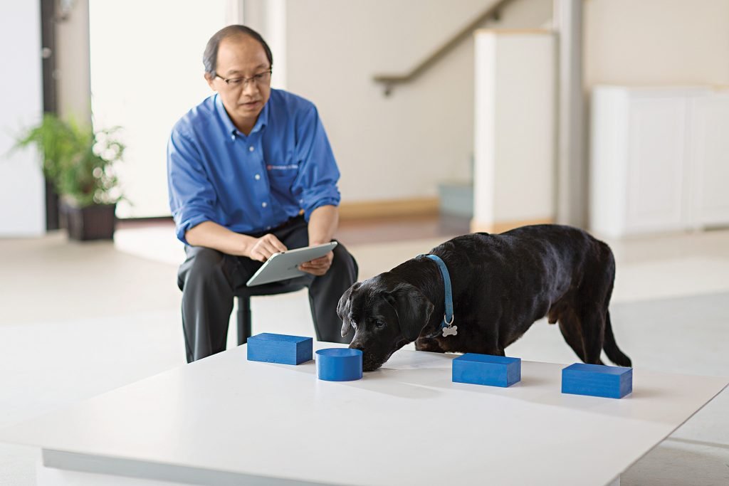 Illustration for article on AI causing cognitive decline in users.